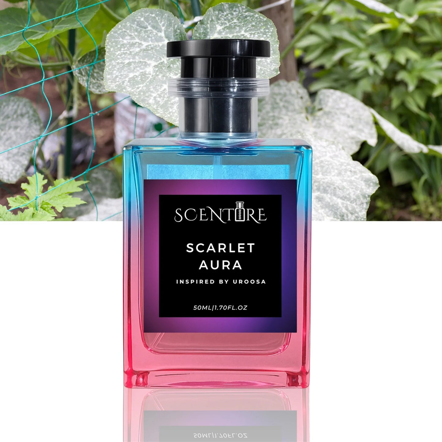 Scarlet Aura (Inspired by Uroosa)